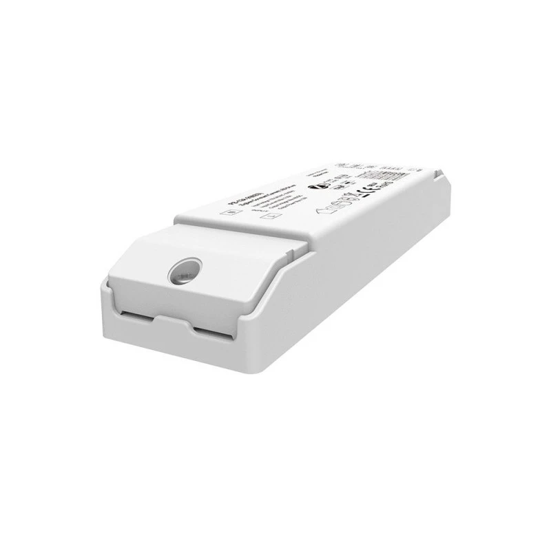 2CH CCT ZigBee 3.0 світлодіодний драйвер постійного струму (150-450mA)